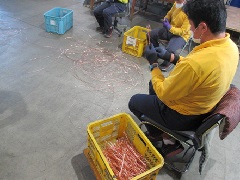 Fケーブル線剥離