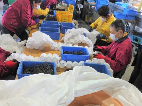 マットレススプリング取り